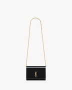 Saint Laurent VICKY MINAUDIÈRE in PLEXIGLAS