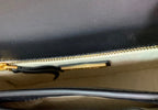 NWT Tory Burch Britten Embossed Convertible Crossbody Leather Handbag In Black