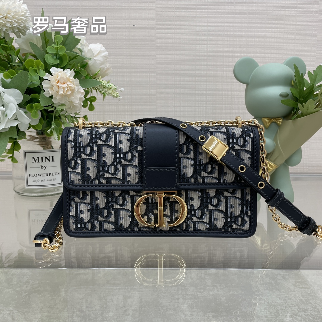 Dior Luxury Monogram Canvas Shoulder Bag with Gold Hardware and Chain Strap